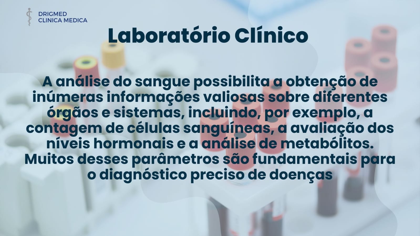 Imagem do WhatsApp de 2023-12-08 à(s) 08.43.24_6a696f72.jpg